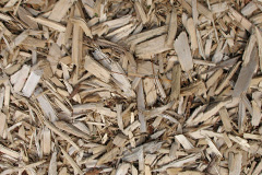 biomass boilers Craichie