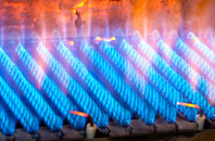 Craichie gas fired boilers